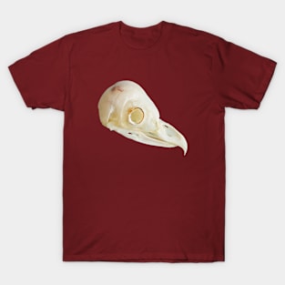 Side view of a Barn Owl skull T-Shirt